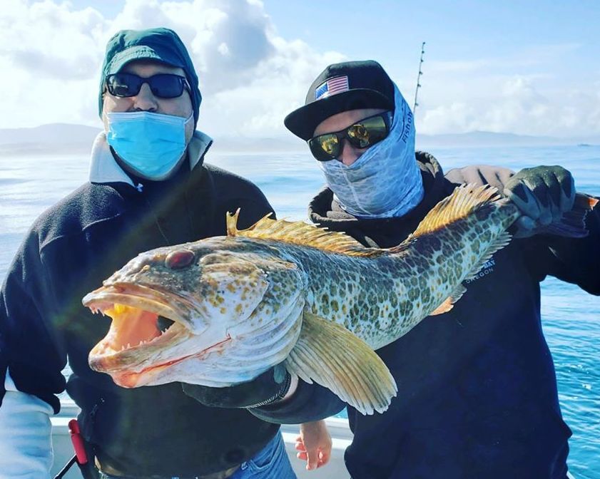 Kadaho Back at it With Limits of Rockfish and Lings