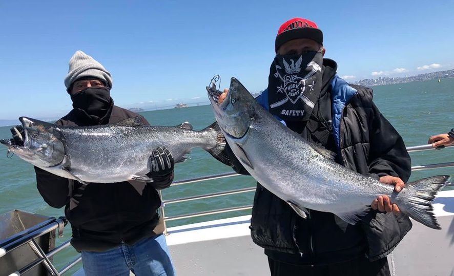 fishing planet trophy chinook salmon california using spoons