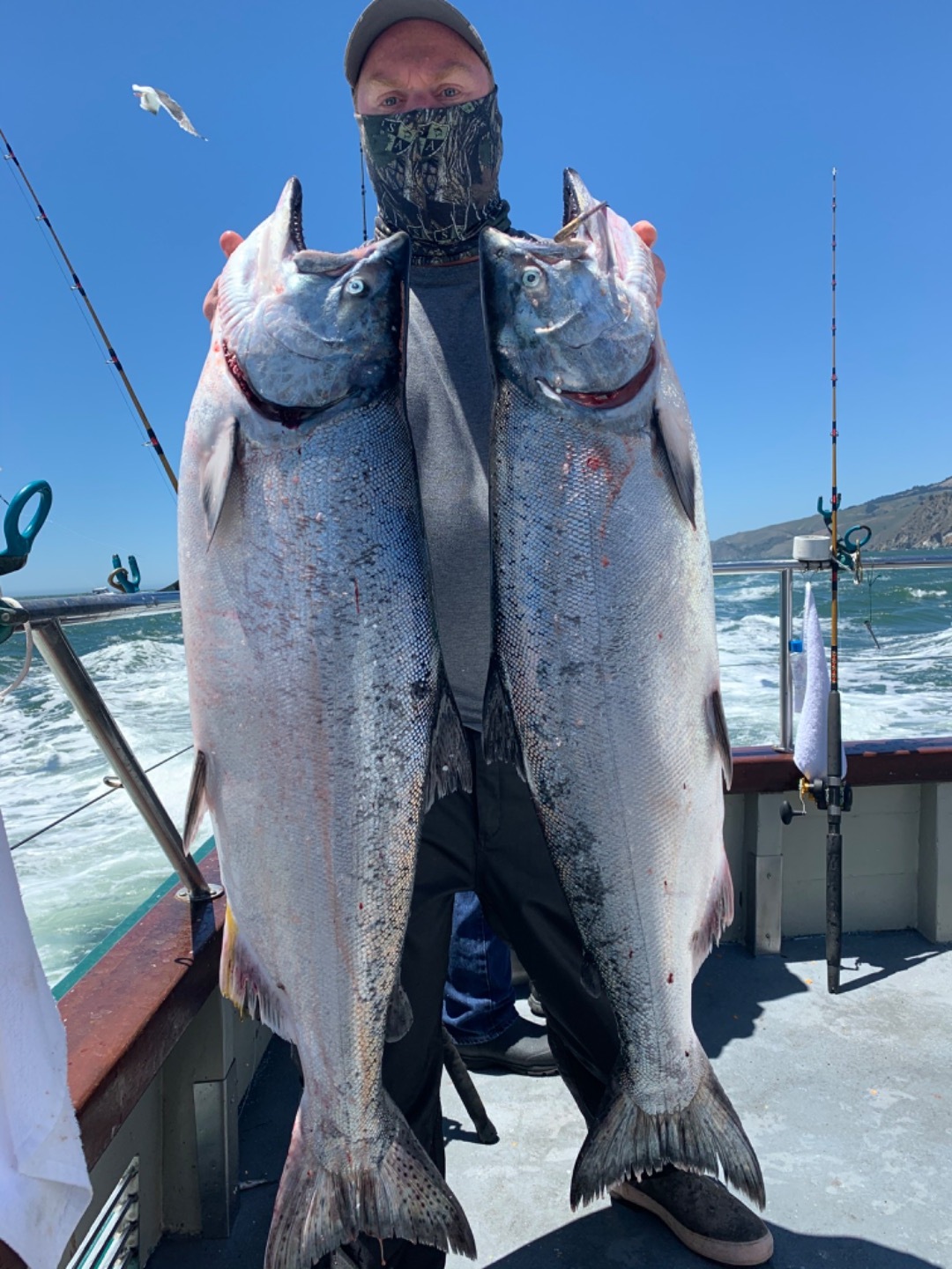 15 early limits of salmon!!