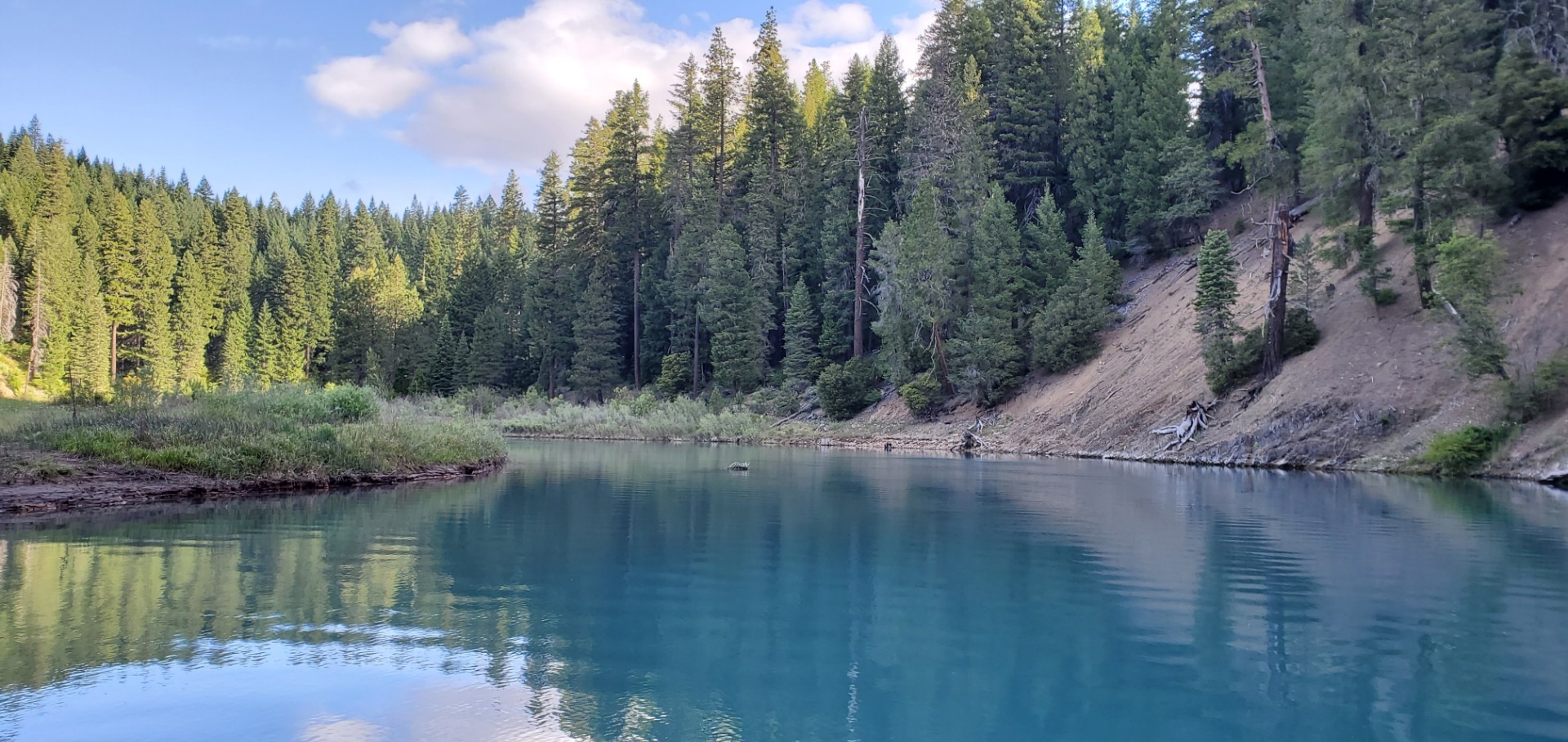 Taking advantage of Mother nature  McCloud Reservoir 