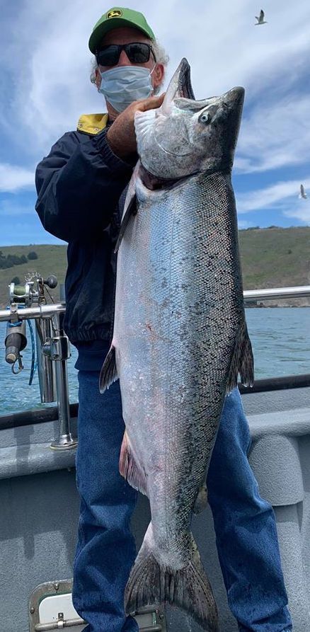 King Salmon up to 30 Pounds