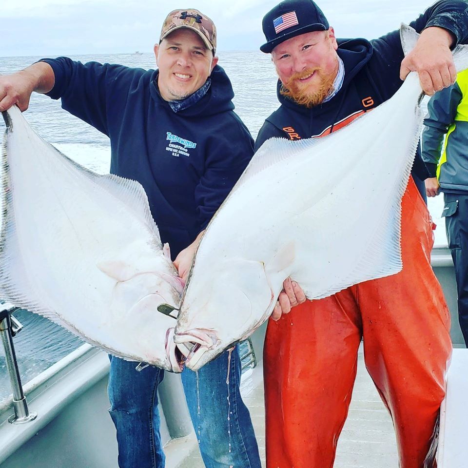 Halibut Limits!