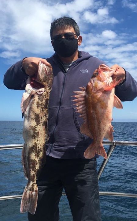 Lingcod Limits up to 14 Pounds