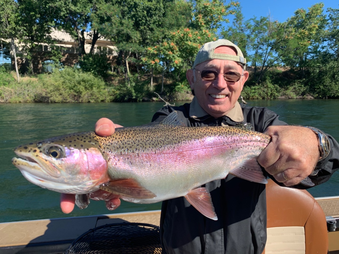 Big wild rainbow trout in Redding 
