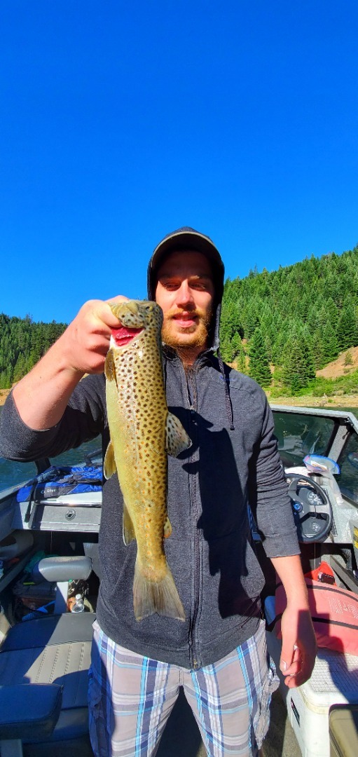 Hot fishing on McCloud Reservoir 