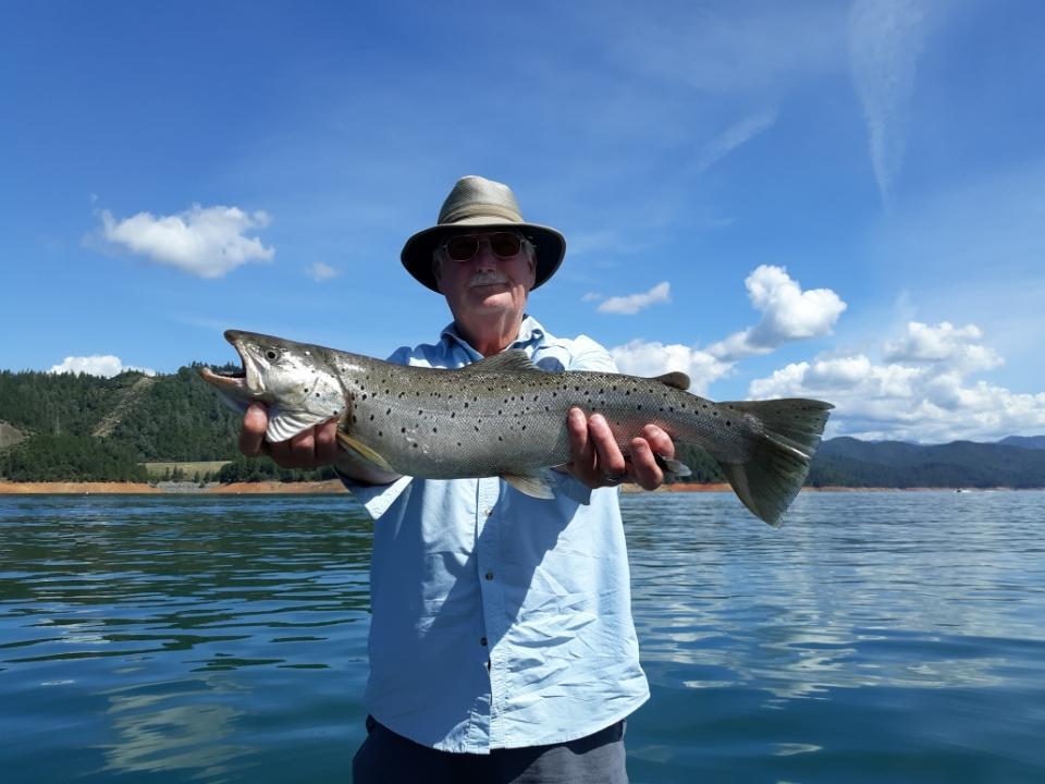 Browns on Shasta 