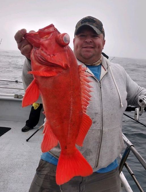 Sea Wolf Fishing Report 