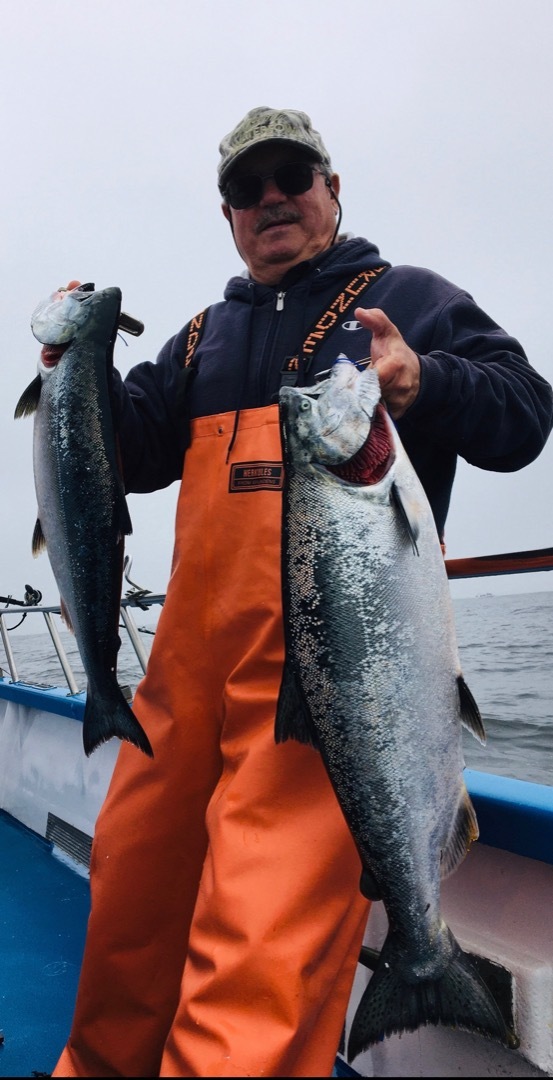 Early salmon limits 