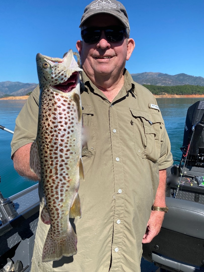 Shasta Lake trout fishing report!