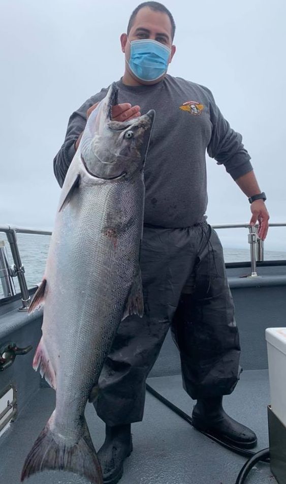 King Salmon up to 33 Pounds