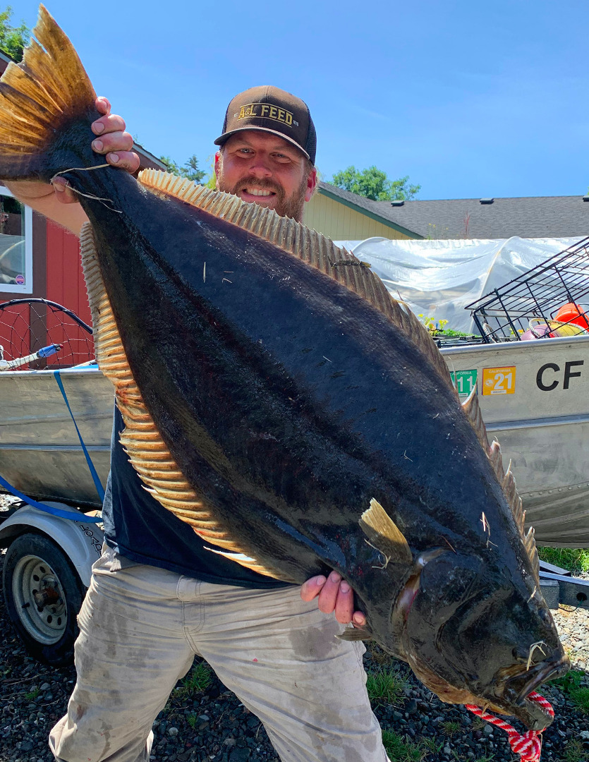 Wind curtails wide-open halibut action