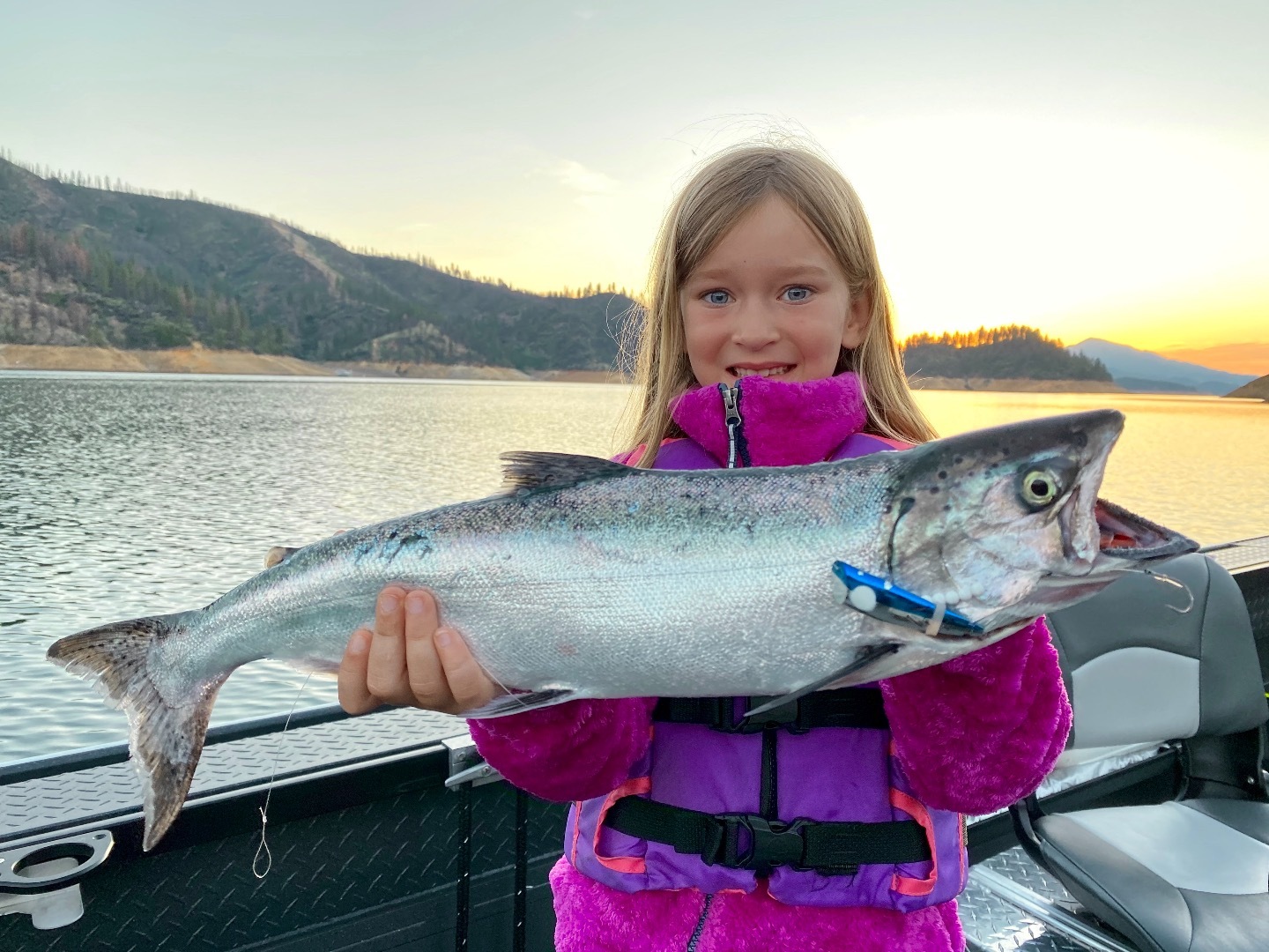 First light Shasta salmon!