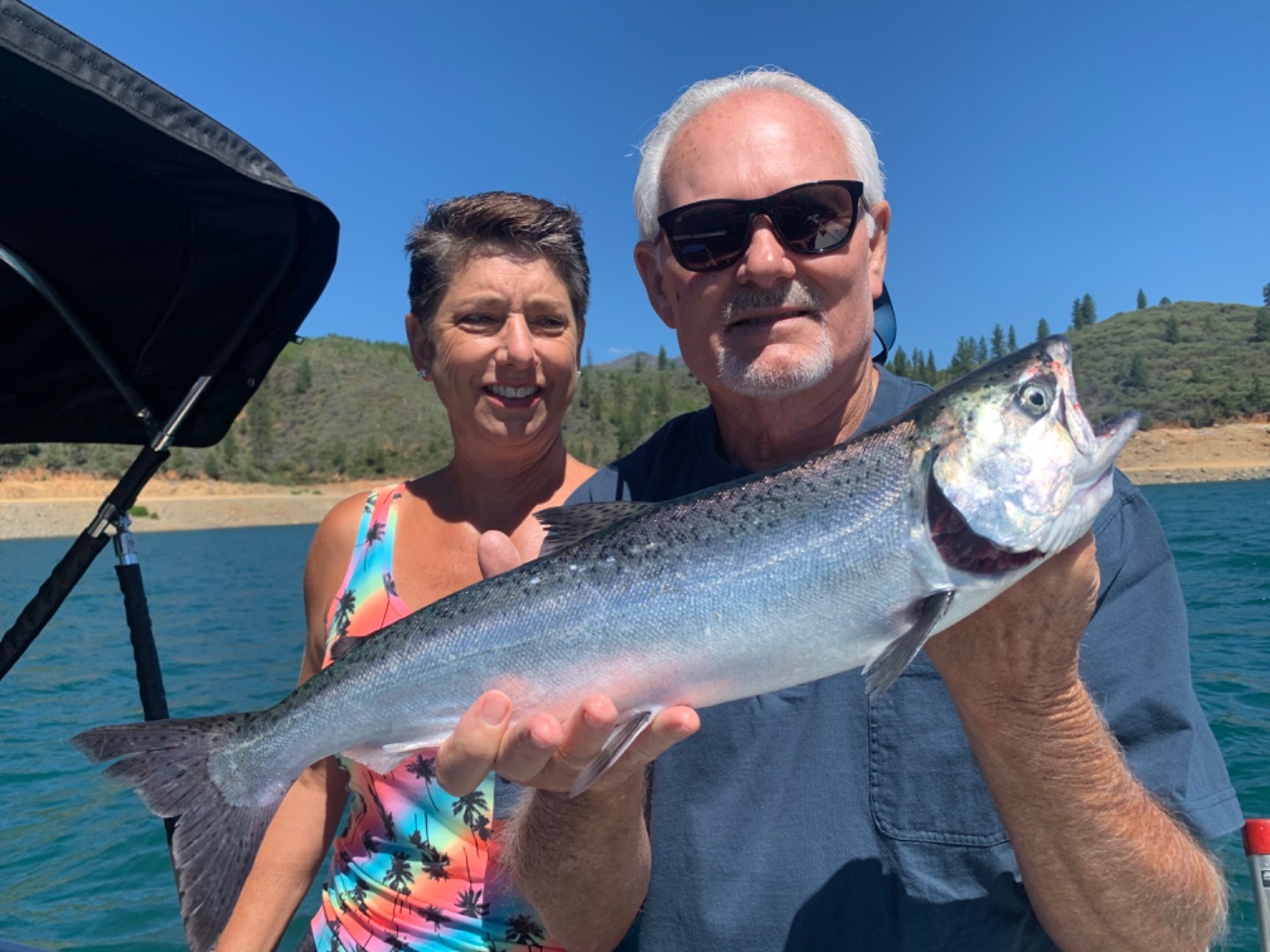 Big Rainbows  and Big Salmon biting on Lake Shasta 