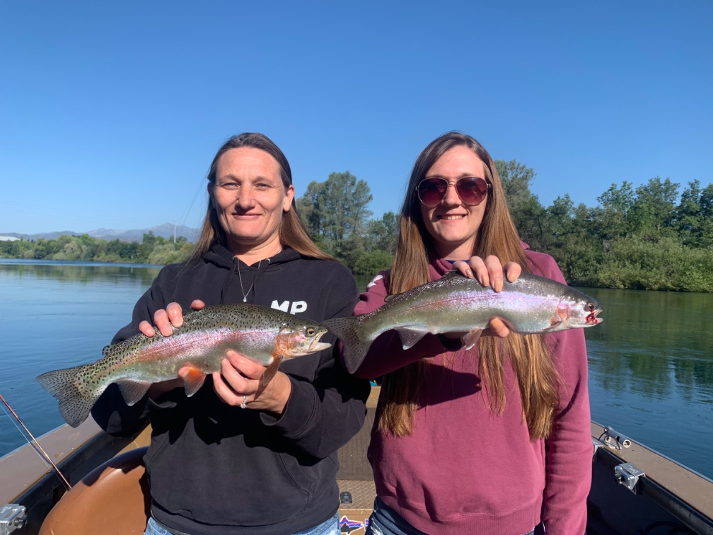 Big wild Rainbows on the Sacramento River 