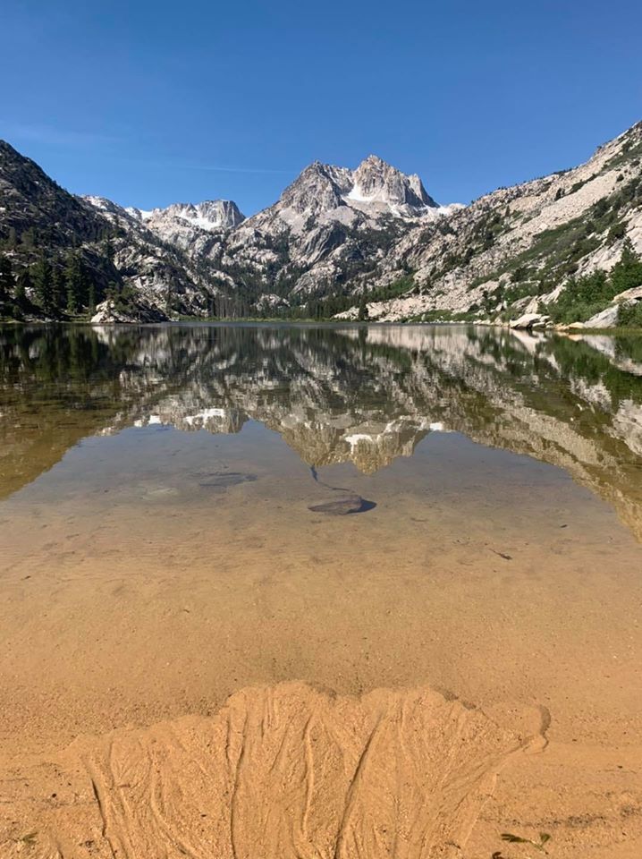 East Carson River (CA) Fish Report - Markleeville, CA (Alpine County)