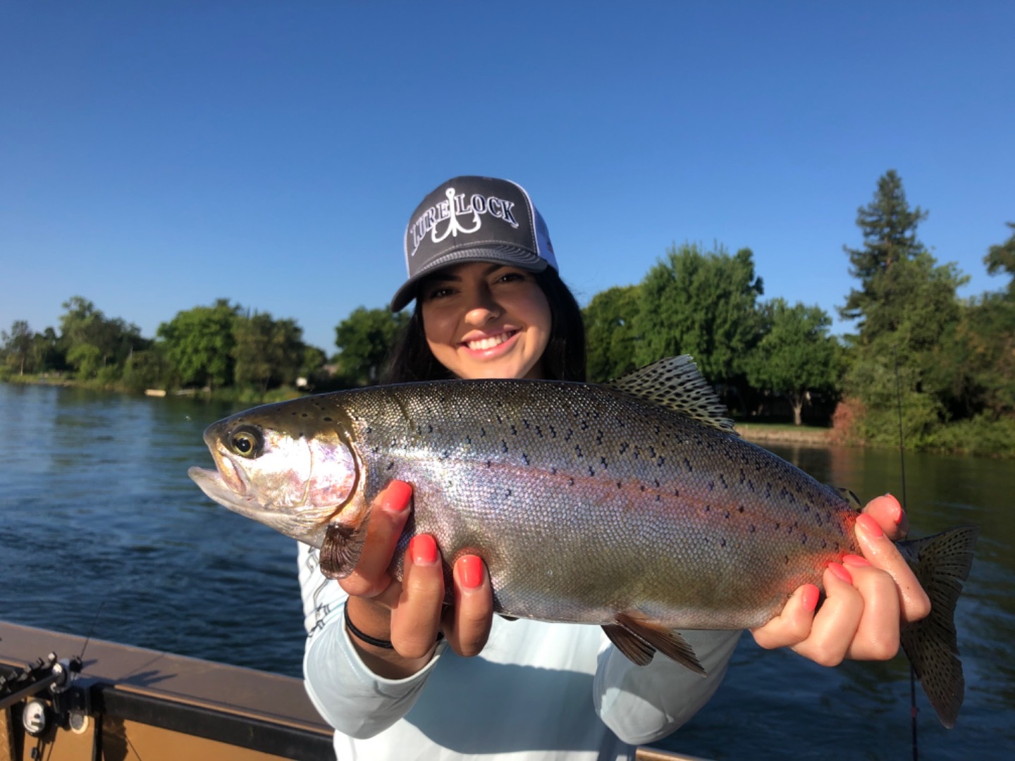 Sacramento River rainbows 