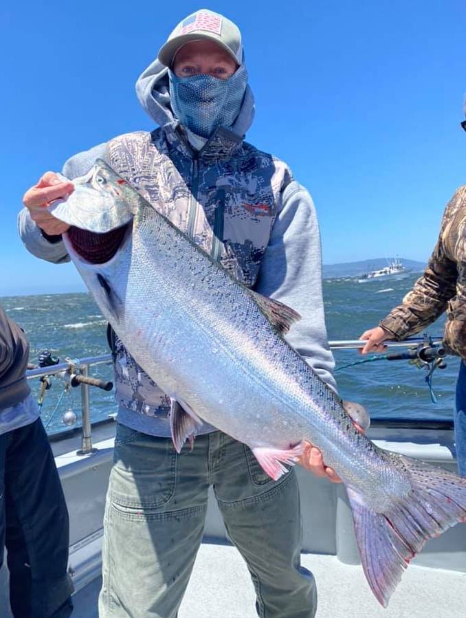 King Salmon up to 26 Pounds