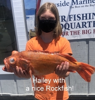 Saltwater Report Santa Cruz Fishing Report July 6 2020