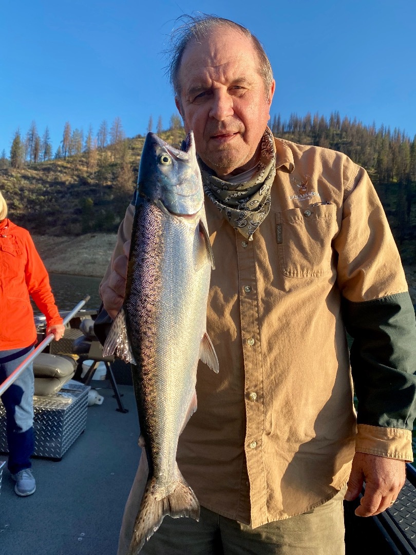 Shasta Kings keep coming!