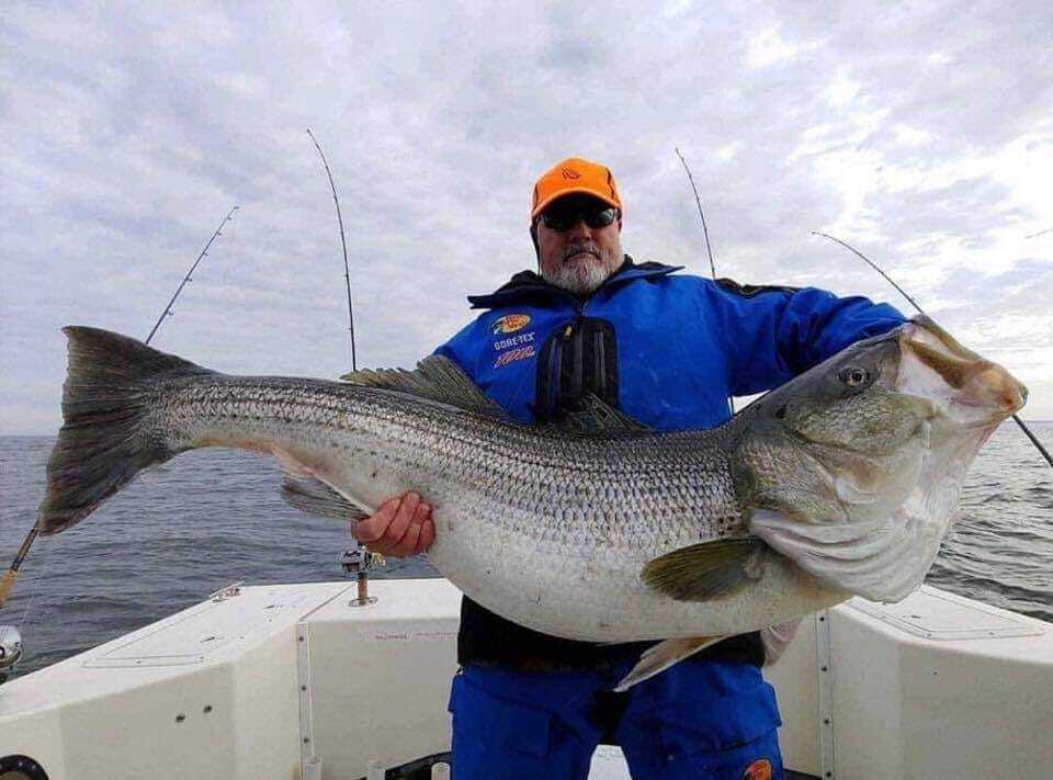 Fish Report - World Record Stripped Bass - July 11, 2020