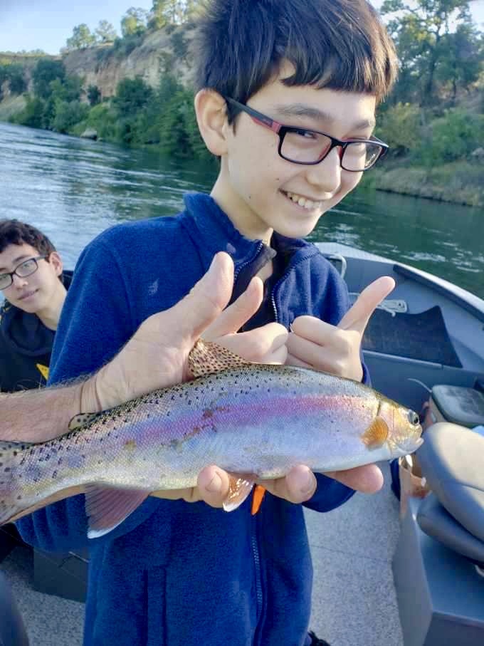 Lots of rainbow trout on the Sac River!