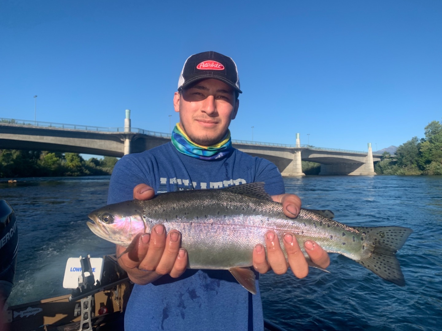Trout fishing on the Sacramento River 