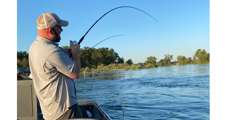 SALMON OPENER REPORT  Sacramento and Feather Rivers