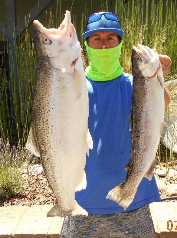 Fish Report July 9, 2020 New Melones Reservoir