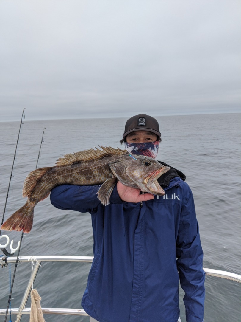 RockFish are chomping