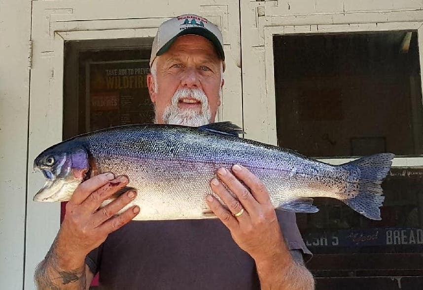 East Carson River (CA) Fish Report - Markleeville, CA (Alpine County)