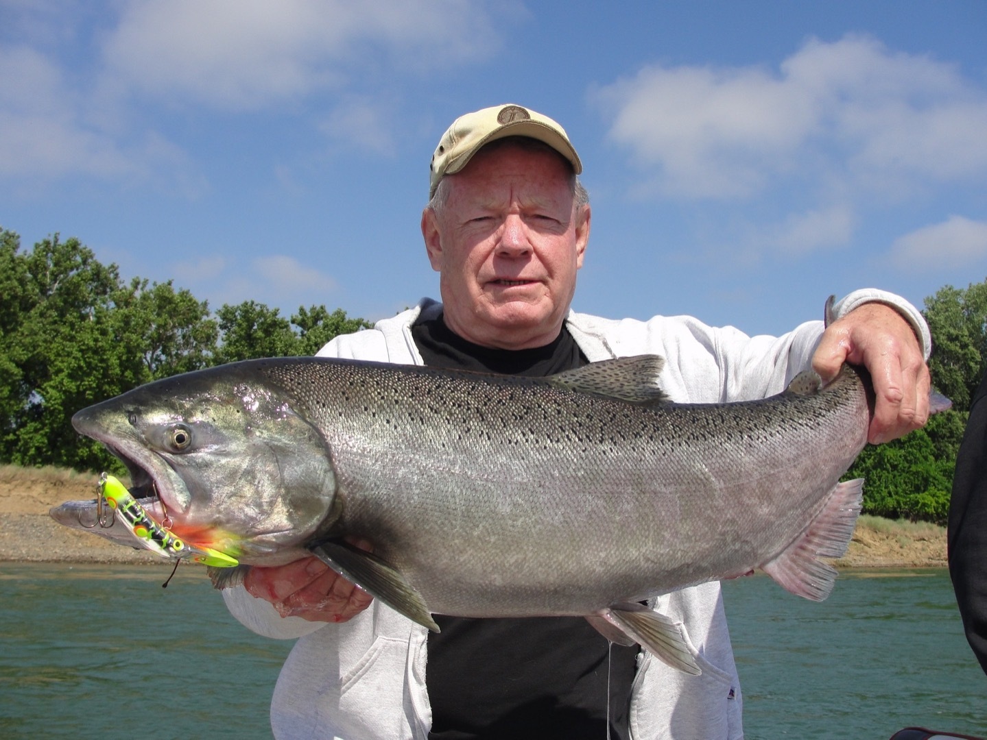 King salmon on the Sacramento River 