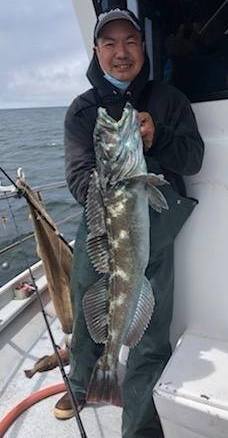 Lingcod LImits up to 18 lbs. 