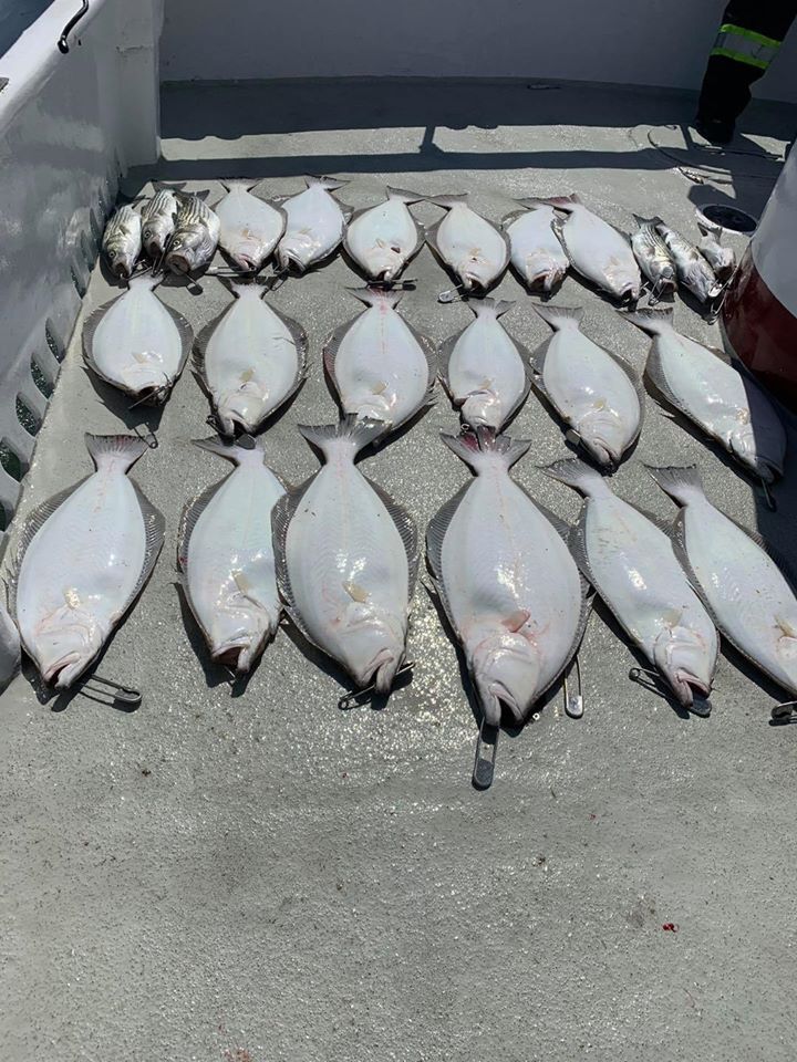 California Dawn Fishing Report