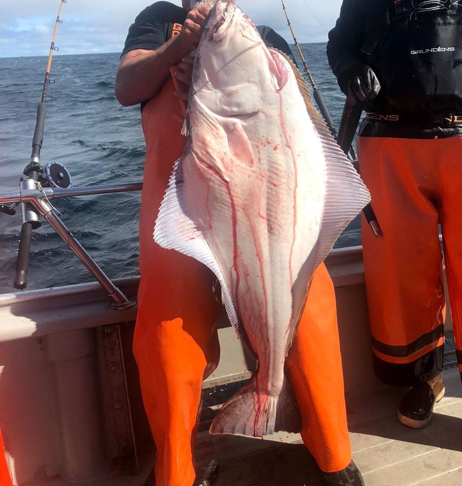 Interesting Day on The Halibut Grounds