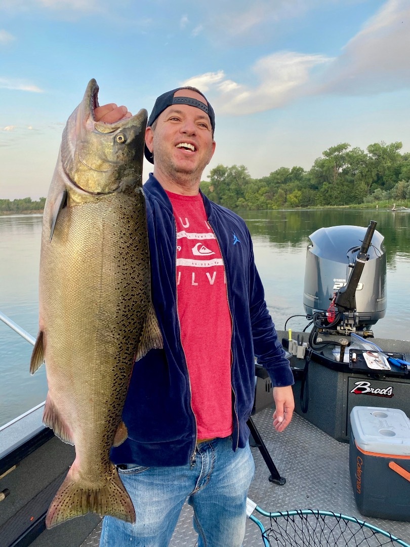 Sacramento River salmon run continues!