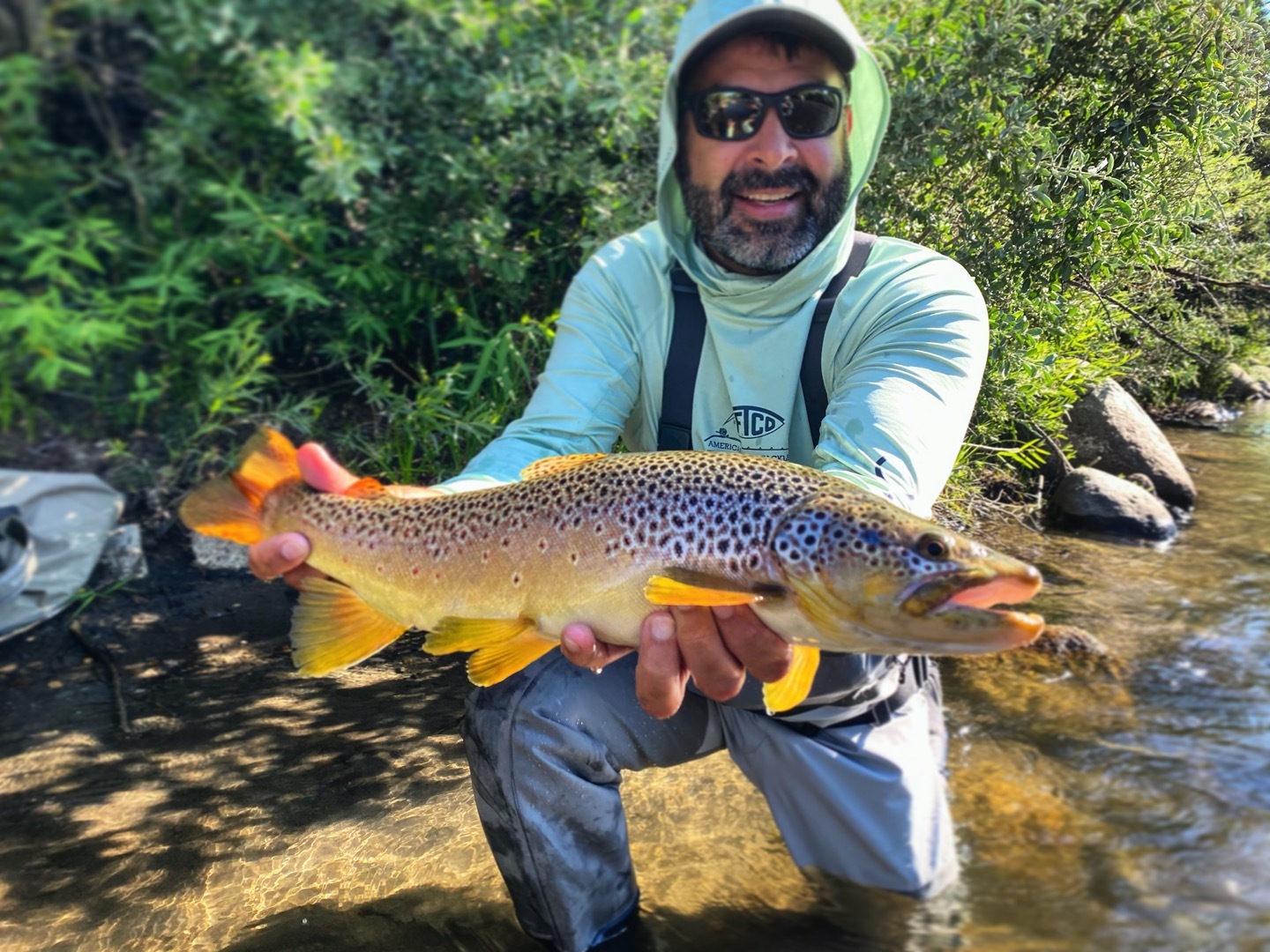 Truckee River Fly Fishing Report-8-4-22 - Gilligan's Guide Service