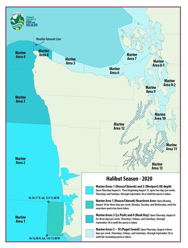 Puget Sound Fish Report - Everett, WA (Snohomish County)