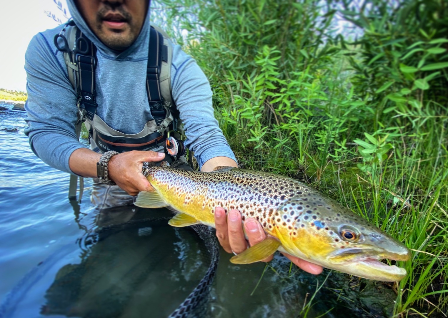 Truckee River Fly Fishing Report-8-4-22 - Gilligan's Guide Service