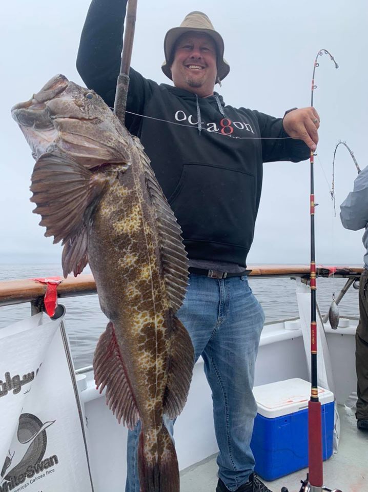 Lingcod up to 25 Pounds