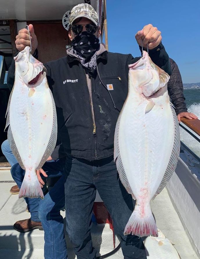 Solid Halibut Fishing Today