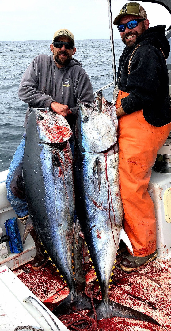 Bluefin Excitement in Monterey