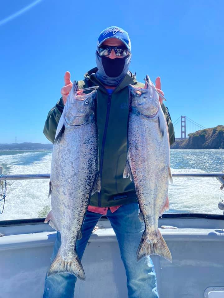 Limits- Openings Next Week For Salmon