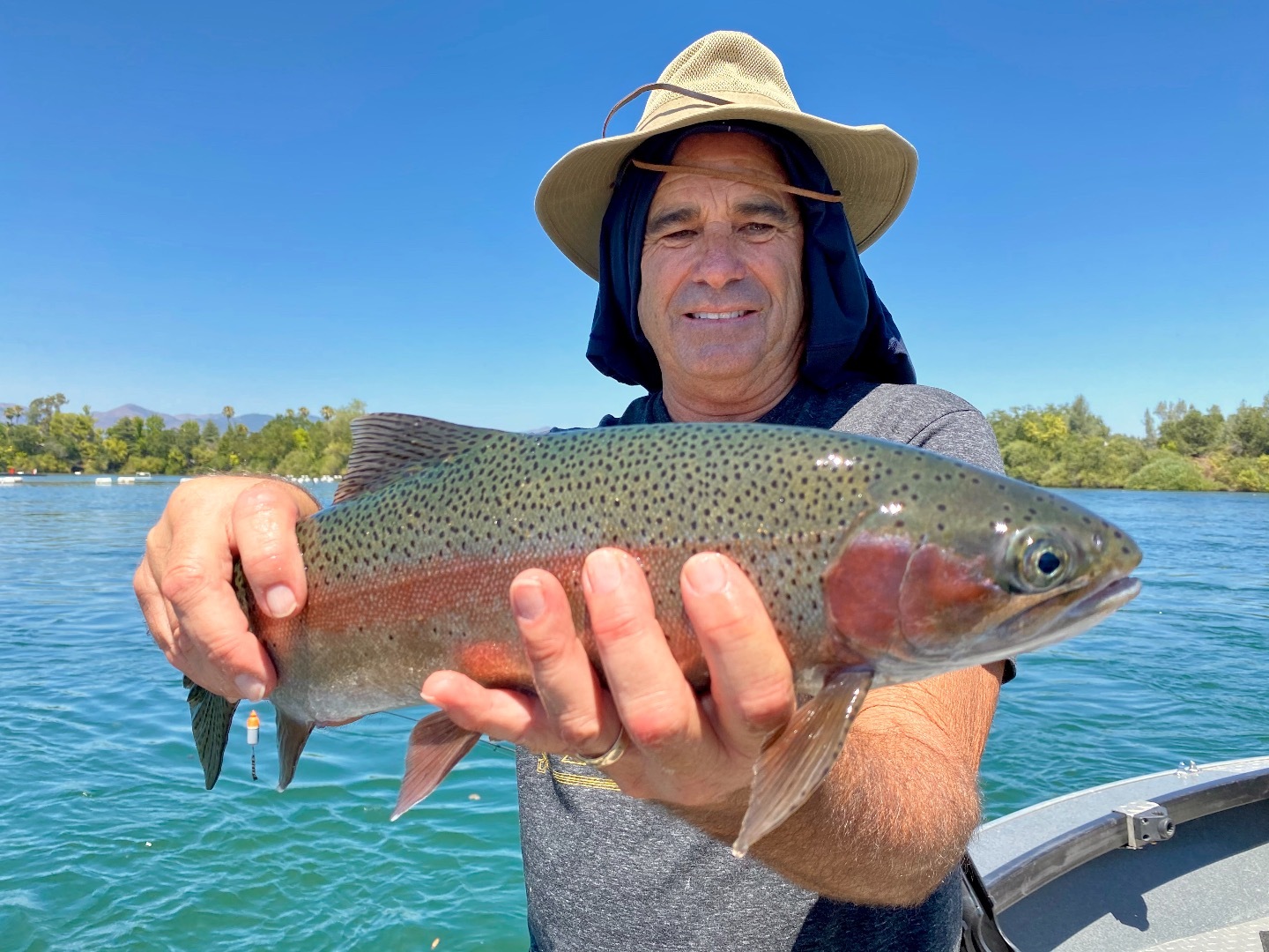 Sacramento River Lower Fish Report Sacramento River Lower