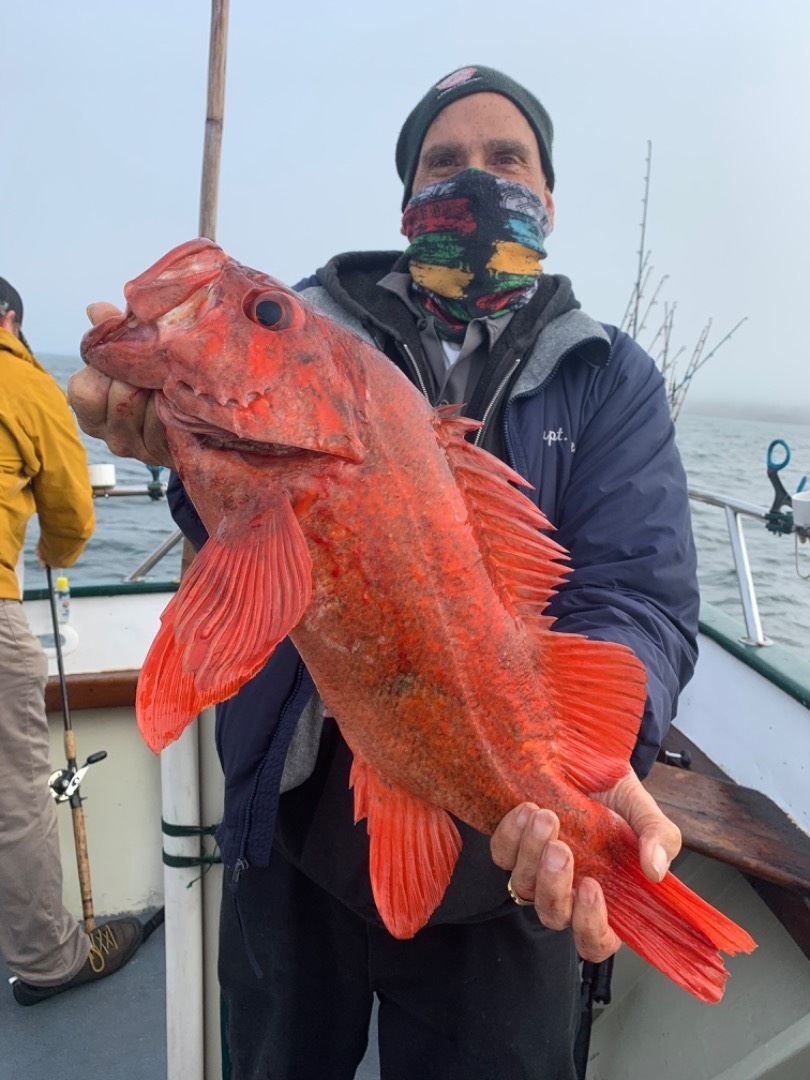 Fantastic rockfish/salmon combo!!