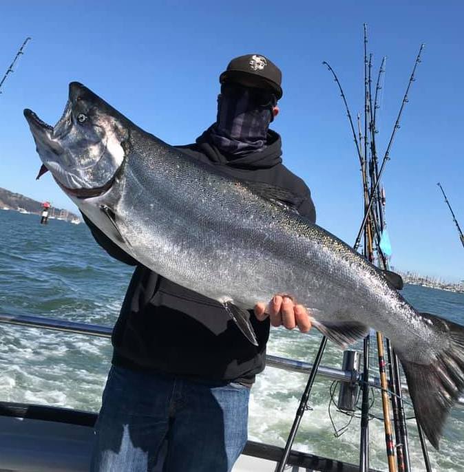 Hog Hunters Today: Salmon up to 31 Pounds
