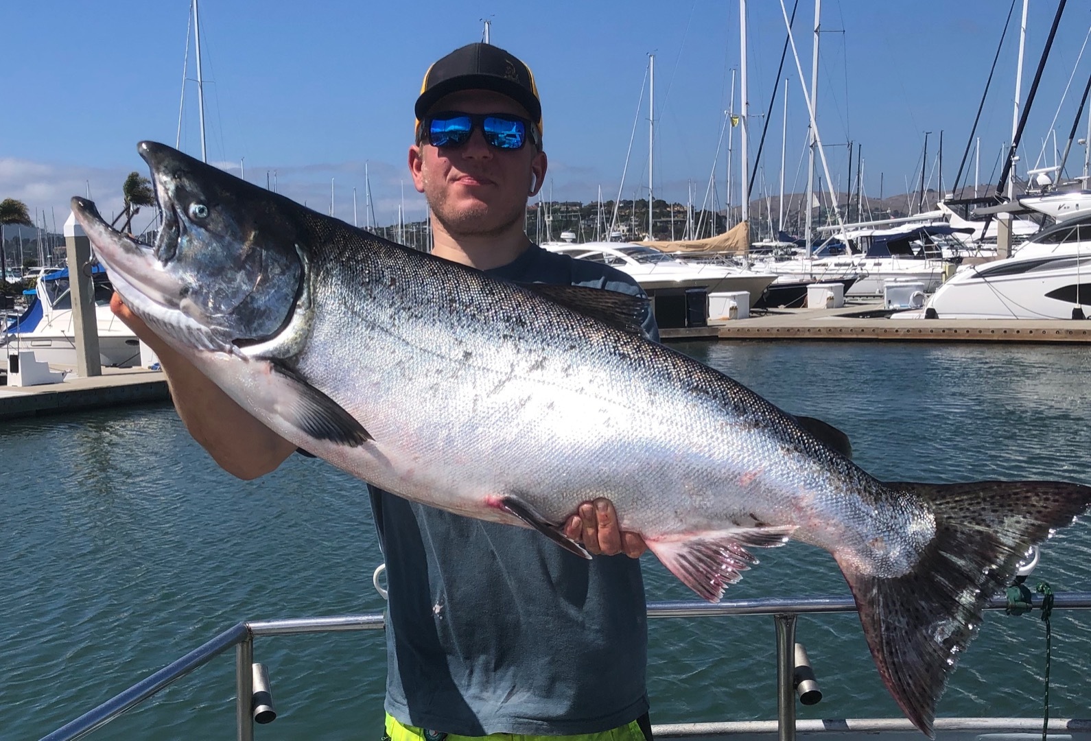 Biggest Salmon of the year so far today !!