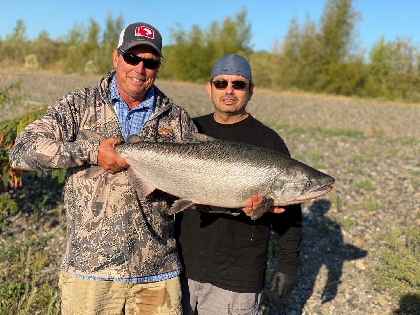 Sacramento River king salmon still moving in!