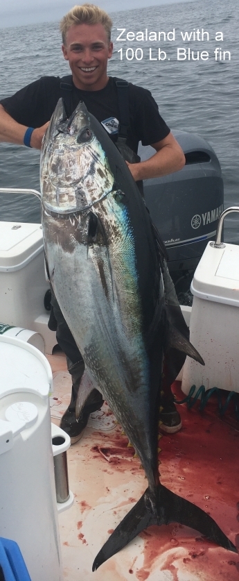 Saltwater Report Bayside Marine Fishing Report August 3 2020