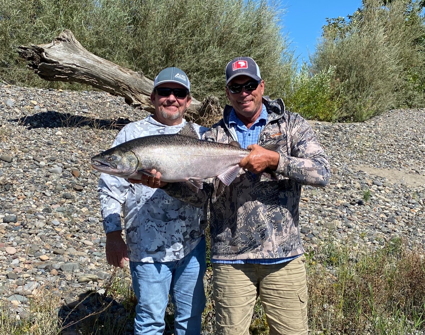 NEW Sacramento River salmon report