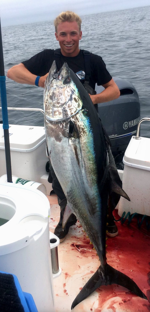 Monterey Bay Fish Report Saltwater Report Big Bluefin Tuna Are